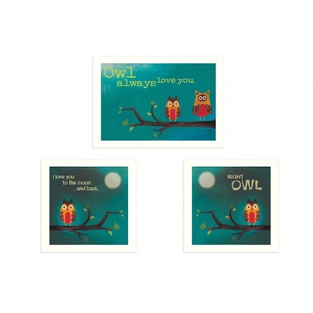 Set Of Three Owls II White Framed Print Wall Art, 3PK