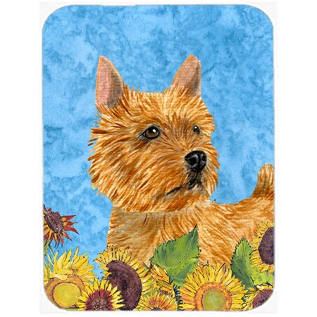 Carolines Treasures Norwich Terrier Glass Cutting Board - Large SS4132LCB