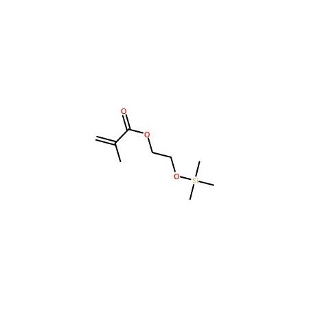Ak Scientific 2-(Trimethylsiloxy)ethyl methacrylate, stabilized with BHT (25g), CAS 17407-09-9 5064AL-25g