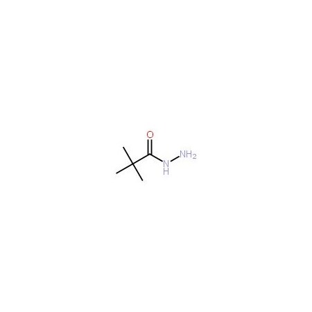 Ak Scientific Pivalic acid hydrazide (1g), CAS 42826-42-6 E028-1g