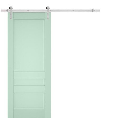 Sartodoors Sturdy Barn Door Solid Core Modern Interior VEREGIO7411BD-S-OLI-18 x 80-Silver Rail