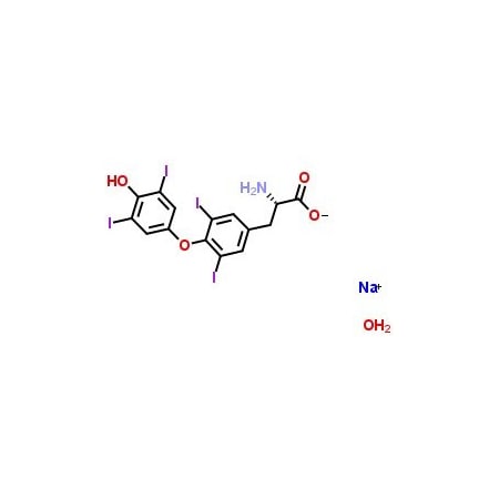 Ak Scientific Levothyroxine sodium hydrate (25g), CAS 25416-65-3 H510-25g
