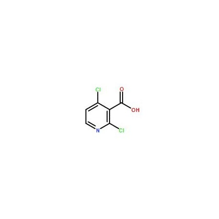Ak Scientific 2, 4-Dichloropyridine-3-carboxylic acid (1g), CAS 262423-77-8 X4377-1g
