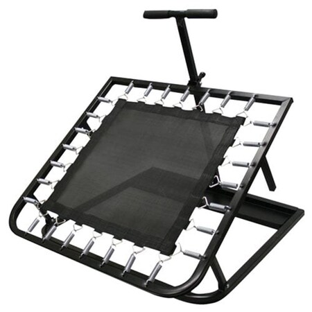 Ssn Square Medicine Ball Rebounder 1375497