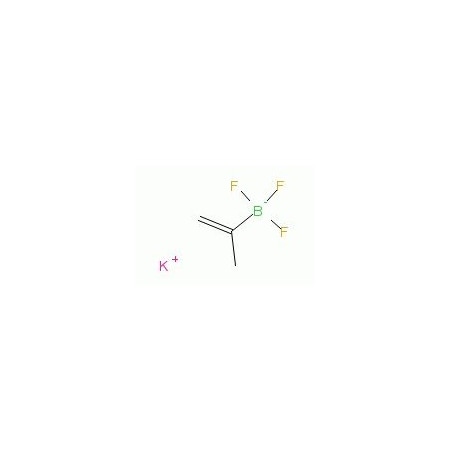 Ak Scientific Potassium isopropenyltrifluoroborate (1g), CAS 395083-14-4 W5981-1g