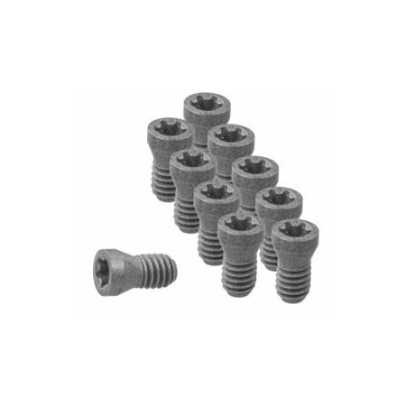 Garant Set of Insert Screws, 10 Pieces 219801
