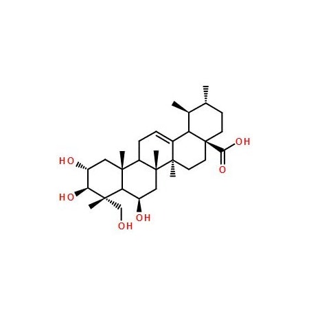 Ak Scientific Madecassic acid (5mg), CAS 18449-41-7 V1809-5mg