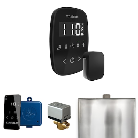 Mr. Steam ButlerFlex Steam Shower Control Package with TempoFlex Control and Steamhead in Black Matte Black ABUTLER1B-MB