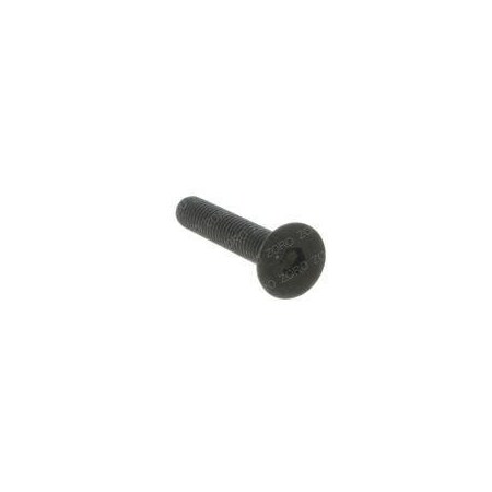 Raymond REPLACEMENT SCREW 5-004-017