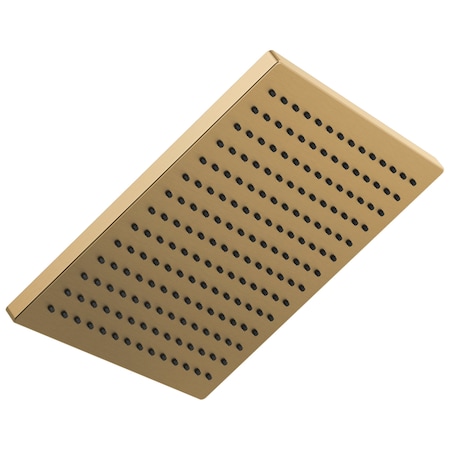 Delta Universal Showering Components Single-Setting Metal Raincan Shower Head 52159-CZ25