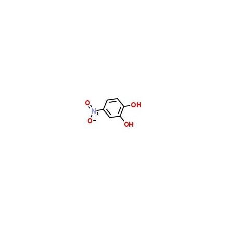 Ak Scientific 4-Nitrocatechol (5g), CAS 3316-09-4 E761-5g