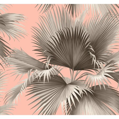 A-Street Prints Summer Palm Blush Tropical Wallpaper 2927-81901