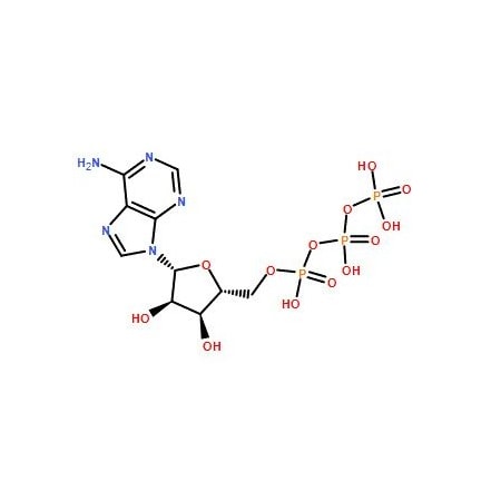 Ak Scientific Adenosine triphosphate (25g), CAS 56-65-5 X5319-25g