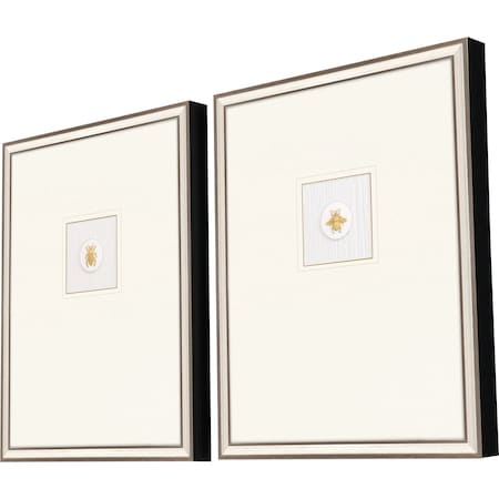 Set Of Two Insect Intaglio I Silver Framed Print Wall Art, 2PK