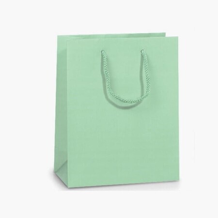 Nashville Wraps Aqua Matte Gift Bags, Cub 8x4x10, 10PK MTCMAQ