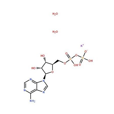 Ak Scientific Adenosine 5'-diphosphate monopotassium salt dihydrate (5g), CAS 72696-48-1 1275AC-5g
