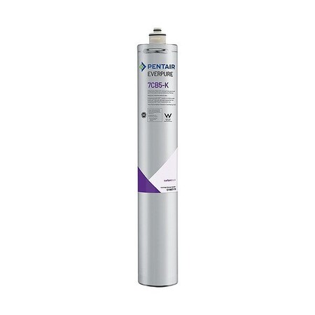 Pentair Everpure Water Filter Cartridge, 2.5 gpm EV961776