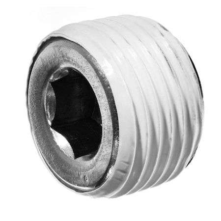Zoro Select Plug, Stainless Steel, Threaded 3/4 in ZUSA-PF-448