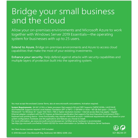 Microsoft Server 2019 Essentials 2CPU G3S-01299