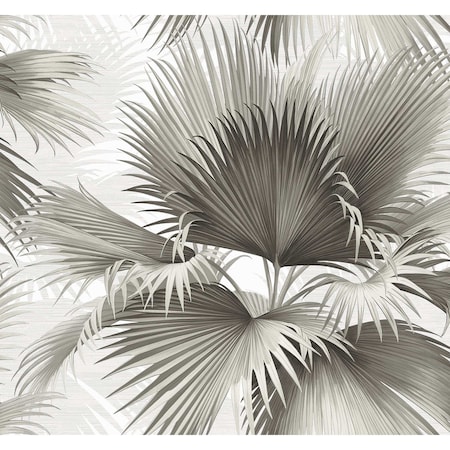 A-Street Prints Summer Palm Charcoal Tropical Wallpaper 2927-40100
