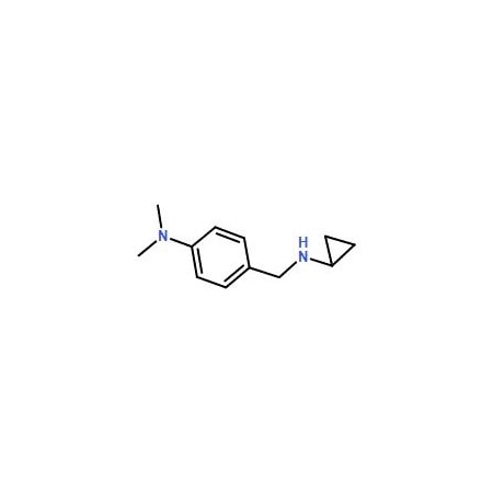Ak Scientific N-(4-Dimethylaminobenzyl)cyclopropanamine (250mg), CAS 892593-62-3 Z1796-250mg