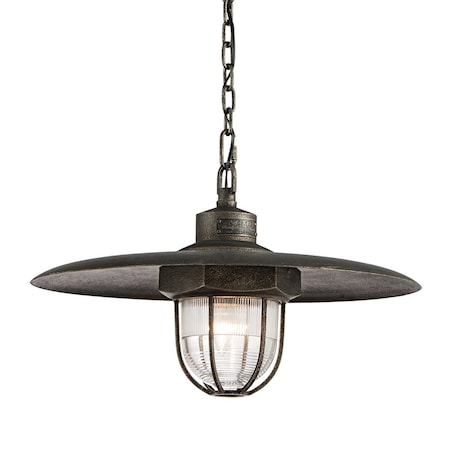 Troy Lighting Acme 1 Light Pendant 22 In. Aged Pewter F3897-APW