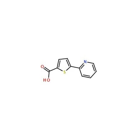 Ak Scientific 5-(2-Pyridyl)thiophene-2-carboxylic acid (100mg), CAS 119082-97-2 Y7204-100mg