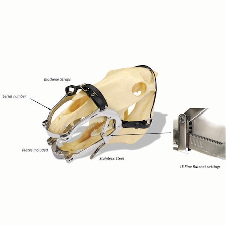 Jorgensen Laboratories JorVet Equine Mouth Gag, Millenial Model J0038JM