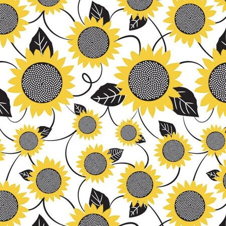 Nashville Wraps Sunflower Fields Tissue Paper, 20x30, 240PK P1411