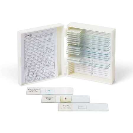 United Scientific Biology Prepared Slide Set Of 16 SLD016
