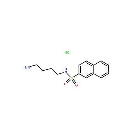Ak Scientific N-(4-Aminobutyl)-2-naphthalenesulfonamide hydrochloride (500mg), CAS 89108-46-3 9781AJ-500mg