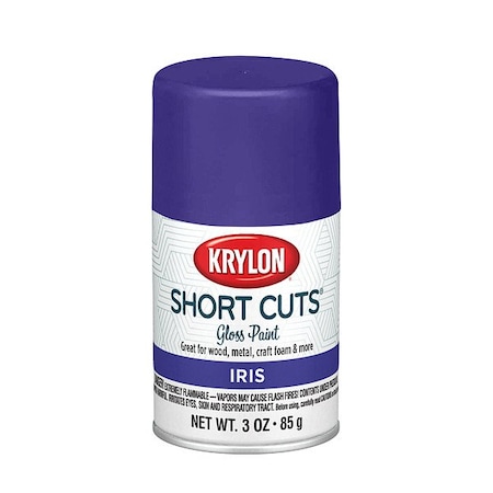 Krylon Spray Paints - Craft & Hobby Spray Paint KSCS074