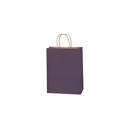 Bubblefast 250-10 x 5 x 13'' Purple Tinted Shopping Bags, 250PK BFBGS117PU