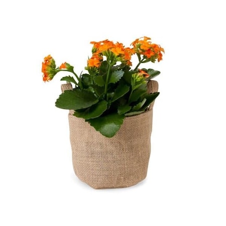 Nashville Wraps Burlap Round Bag, 4.5 dia., with plastic lining & side handles, 12PK B99002
