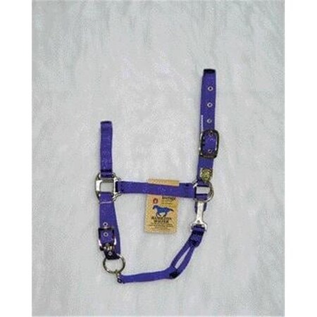 Hamilton Halter Co - Adjustable Chin Halter With Snap- Purple Average - 1DAS AVPU 350508