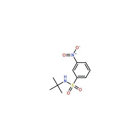 Ak Scientific N-t-Butyl 3-nitrobenzenesulfonamide (25g), CAS 424818-25-7 V5897-25g