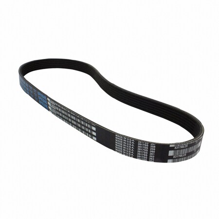 Motorcraft Serpentine Belt, JK6295