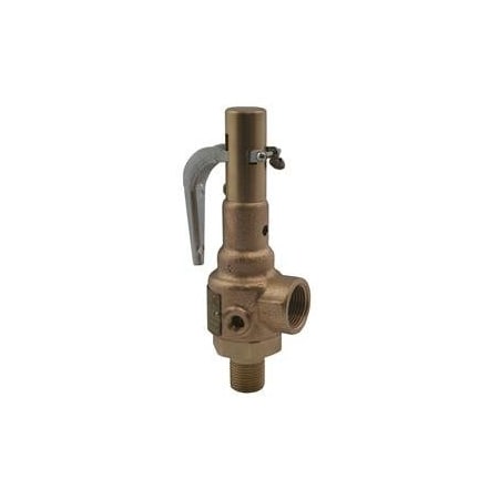Apollo Valves RELIEF VALVE, 1 IN, MNPT X FNPT 19MEEA15