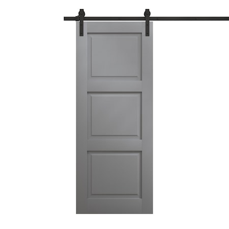 Sartodoors Modern Barn Door 42 x 96 inches, Ego 5010 Painted Grey Oak, 8FT Rail Track Heavy Hardware Set, So EGO5010BD-B-SEK-4296