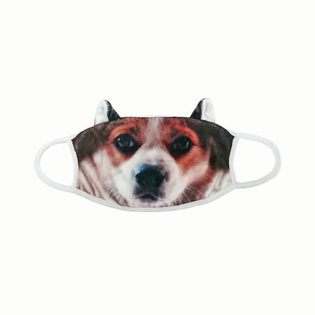 Jorgensen Laboratories Fun Canine Face Mask J1538A