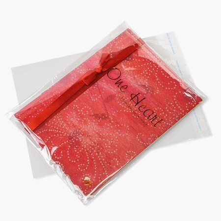 Nashville Wraps Clear Tape Resealable Cello Bags, 9x12 in, 1000PK CBA912B