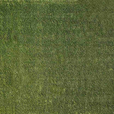 Msi Emerald Green 6 Ft Width X 8 ft Length x 38 Mm Thick Pre Cut Artificial Grass Turf Roll ZOR-PC-TRF-0001