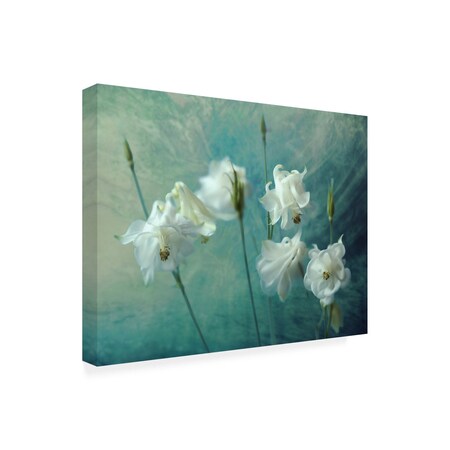 Trademark Fine Art Outdoor Canvas Art Mike Kreiten 'Crowns Of Thorns' Wall Art for Patios, or Gardens 1X18582-OC1824WR