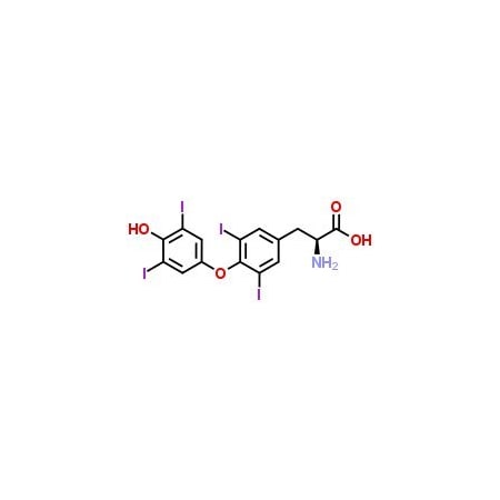 Ak Scientific L-Thyroxine (25g), CAS 51-48-9 C539-25g