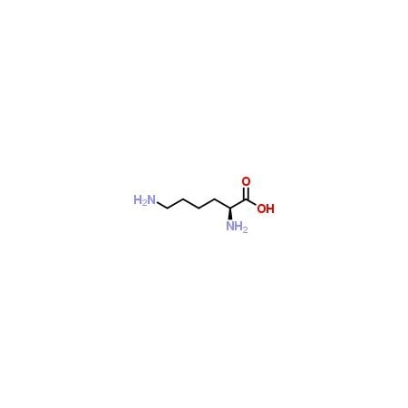 Ak Scientific L-Lysine, meet USP specifications (100g), CAS 56-87-1 C743-100g