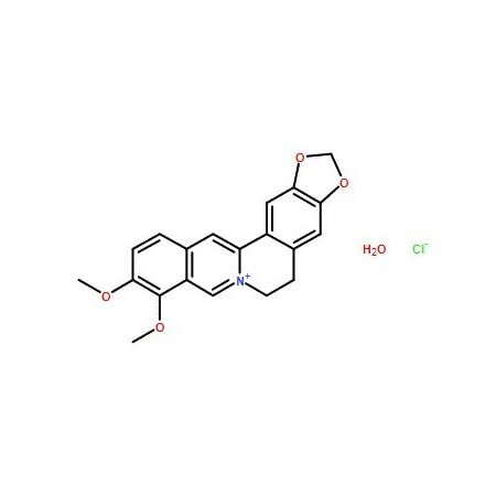 Ak Scientific Berberine chloride hydrate (5g), CAS 141433-60-5 6555AF-5g