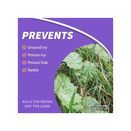 Bonide Products 506 Poison Oak and Ivy Killer, Liquid, Blue, 32 oz 5066