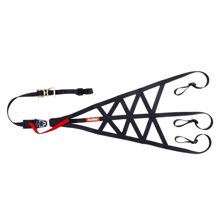Racequip SFI 37.1 Net Side Rollcage, Black RQP828998