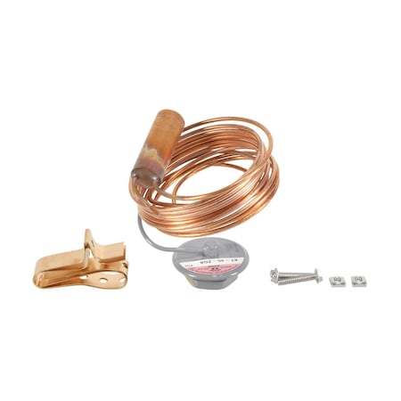 Sporlan R410A 10' ELEMENT 181349
