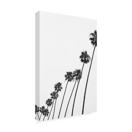 Trademark Fine Art Outdoor Canvas Art Shot by Clint 'Cali Cathedrals 04' Wall Art for Patios, or Gardens 1X25233-OC1219WR